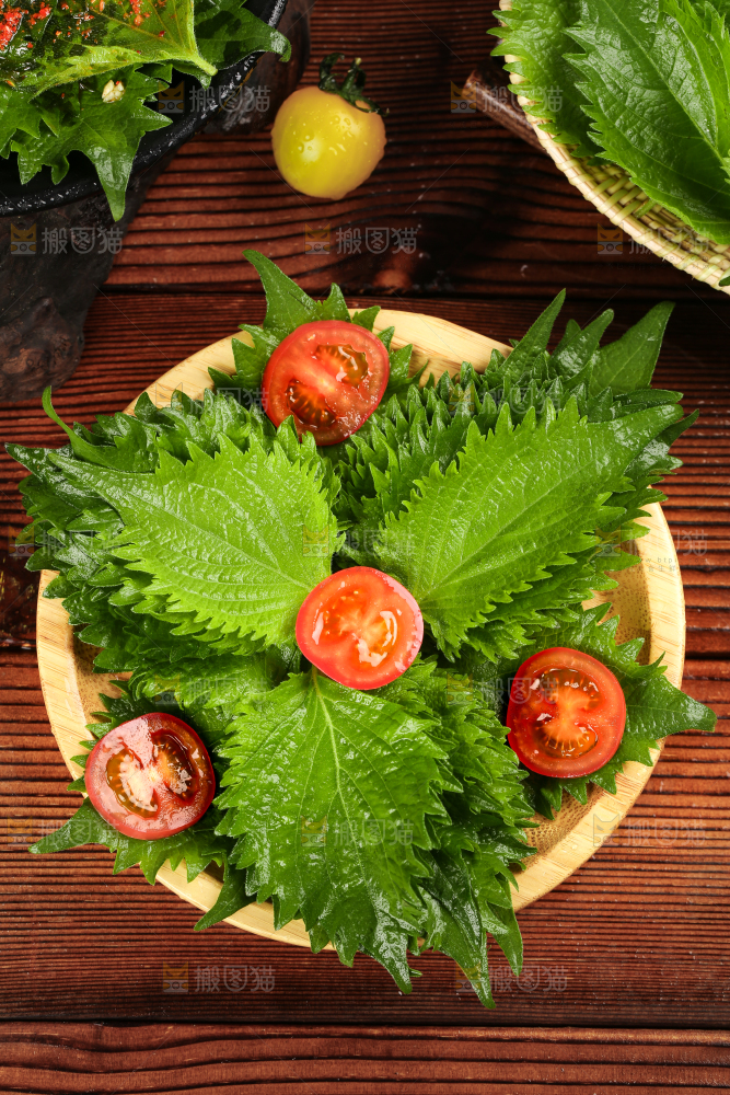 木底上的新鲜紫苏叶