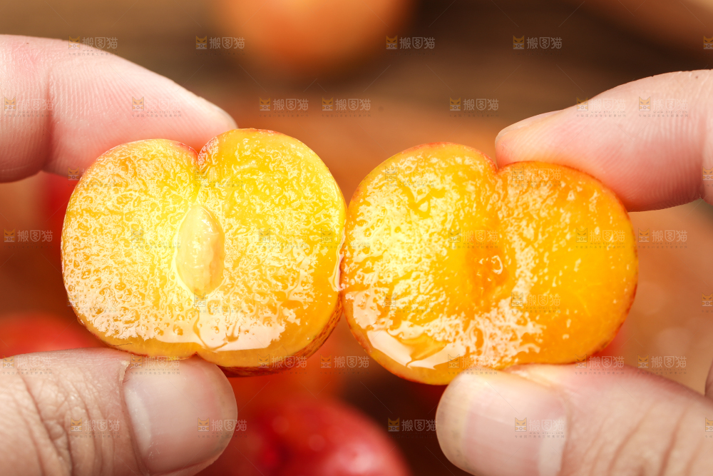 手里拿着新鲜李子