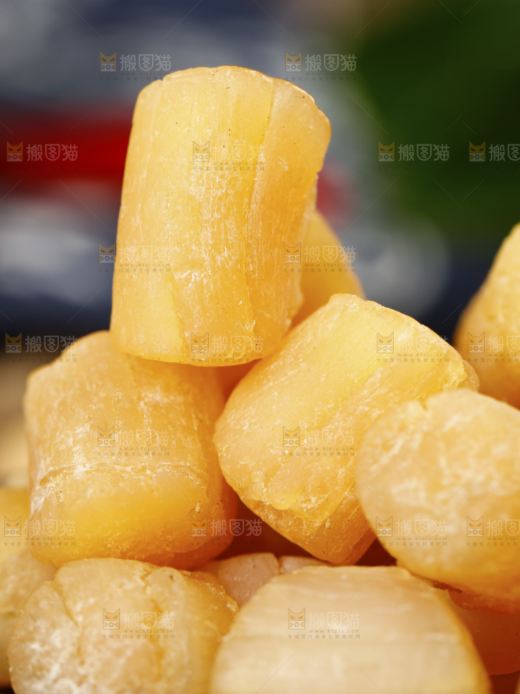 深底上的元贝柱