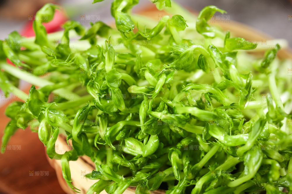 篮子里的豌豆芽苗菜