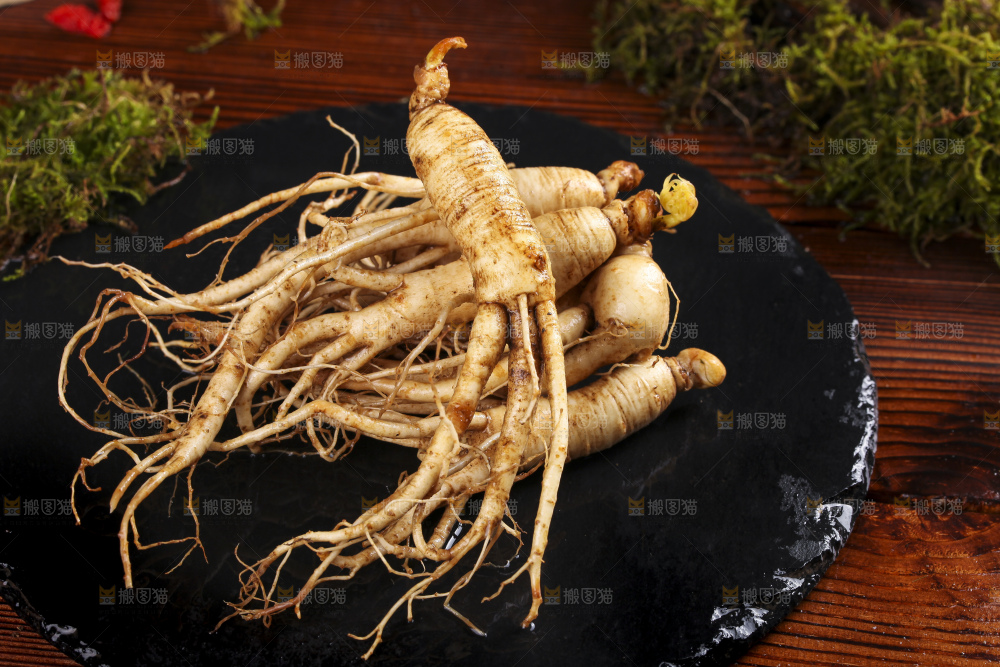 黑石板上的野生人参