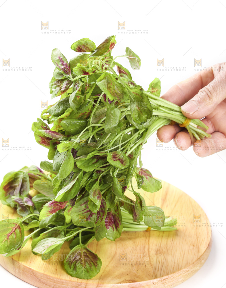 手拿红苋菜