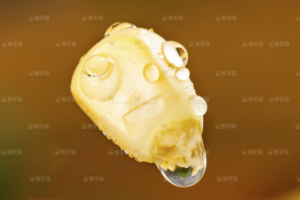 深底上放着玉米粒