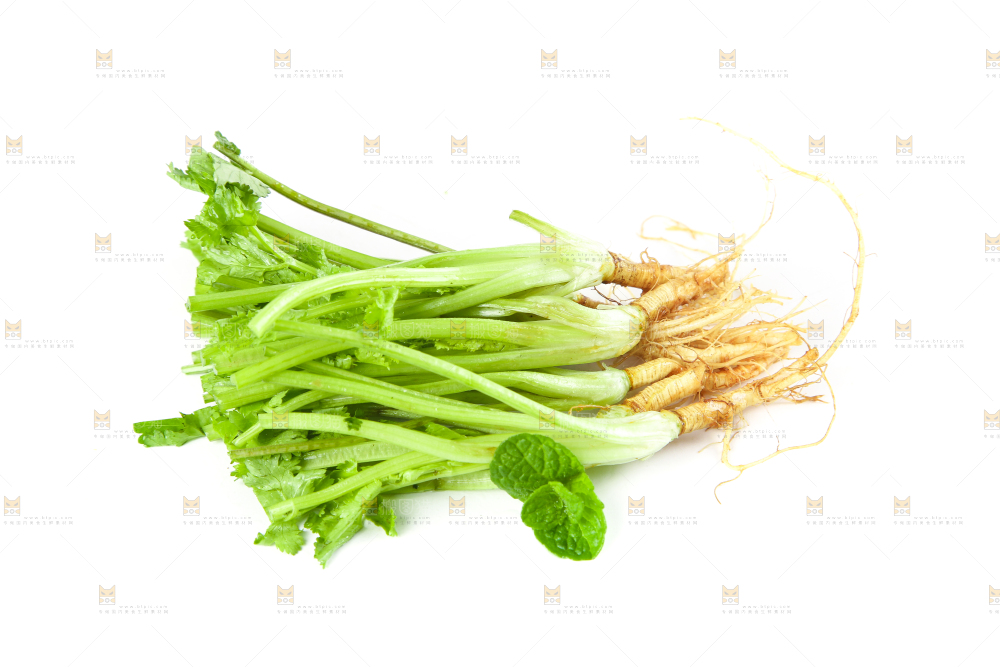 白底上的香菜段