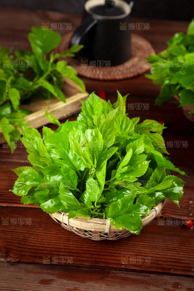 木底上放着一筐桑葚叶