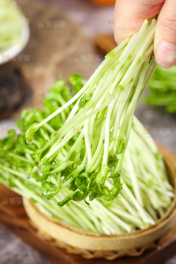 篮子里的豌豆芽苗菜