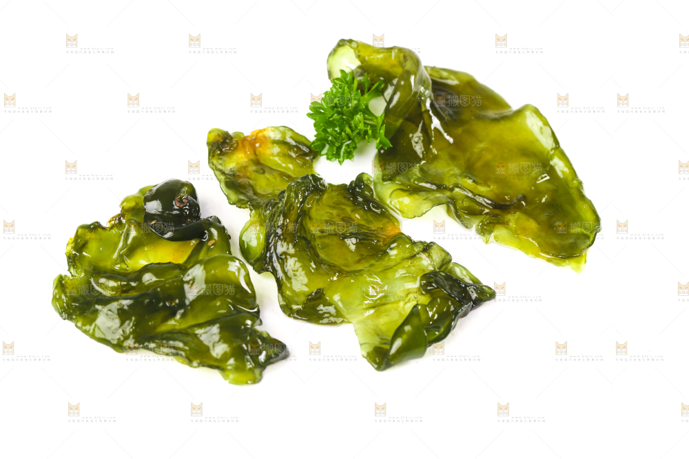 白底上的地皮菜