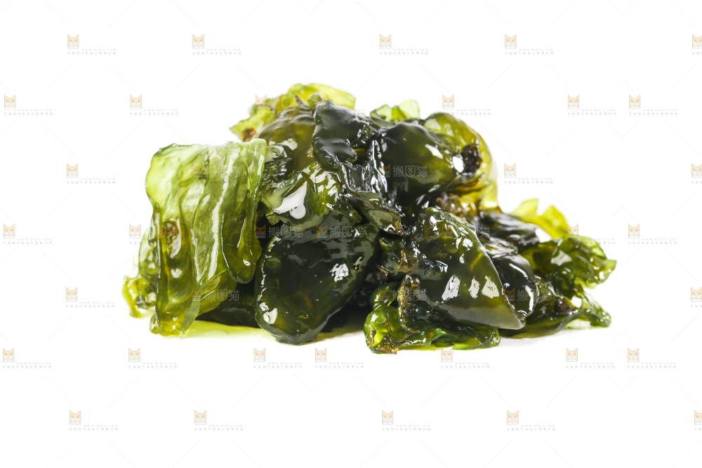 白底上的地皮菜