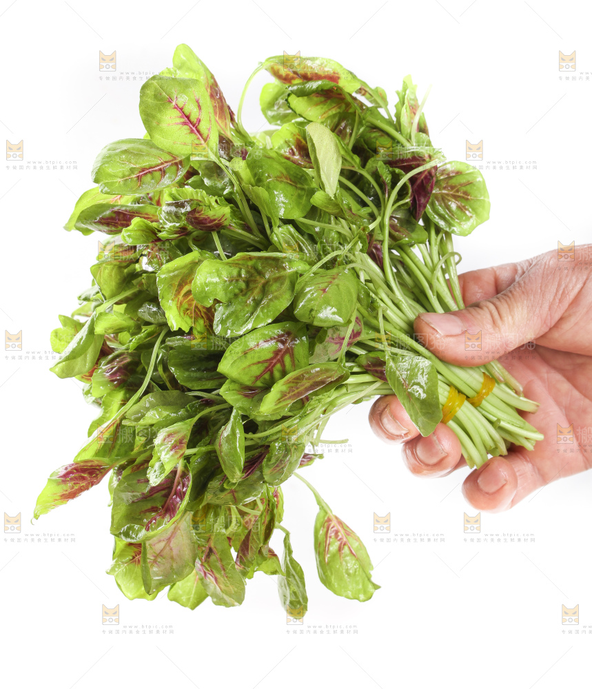 手拿红苋菜