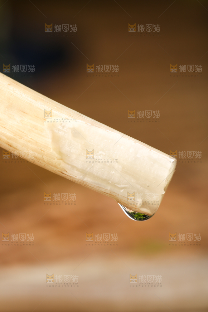 手里拿着藕苗