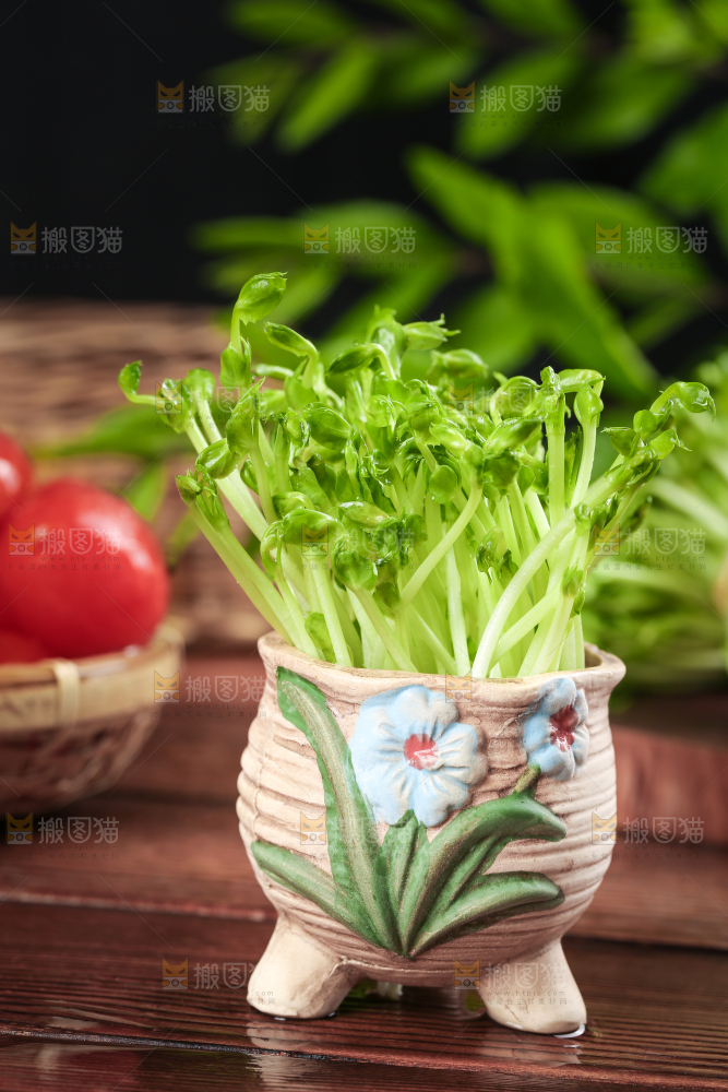 木板上放着豌豆芽