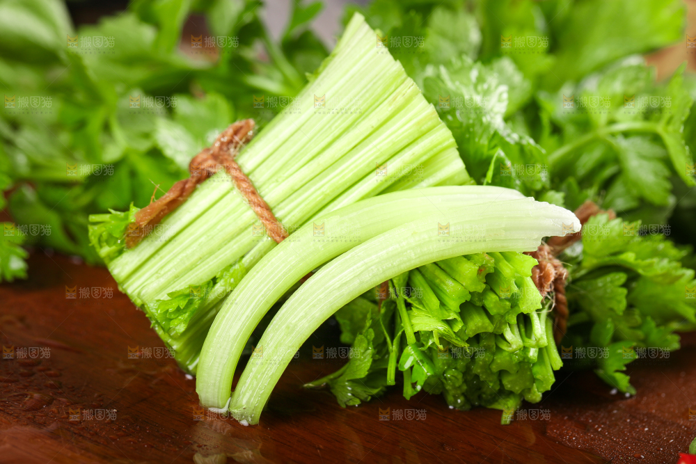 深底上的青岛新鲜芹菜