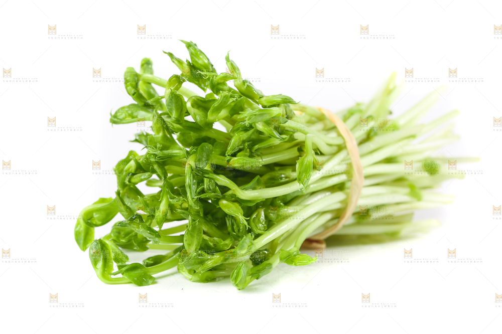 白底上放着豌豆芽菜