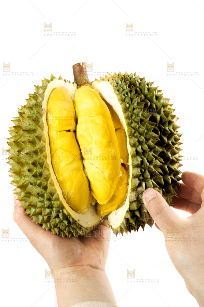 白底上摆放着甲仑榴莲