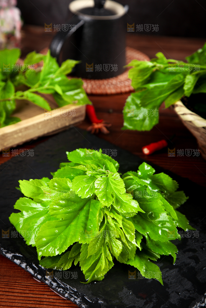 黑石板上放着新鲜桑叶