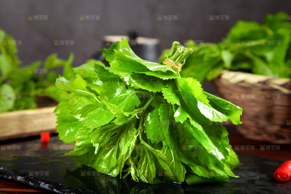黑石板上放着桑树叶