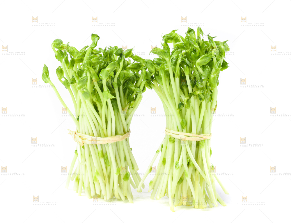 白底上放着豌豆芽菜