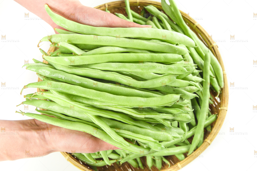 手里拿着鲜嫩四季豆