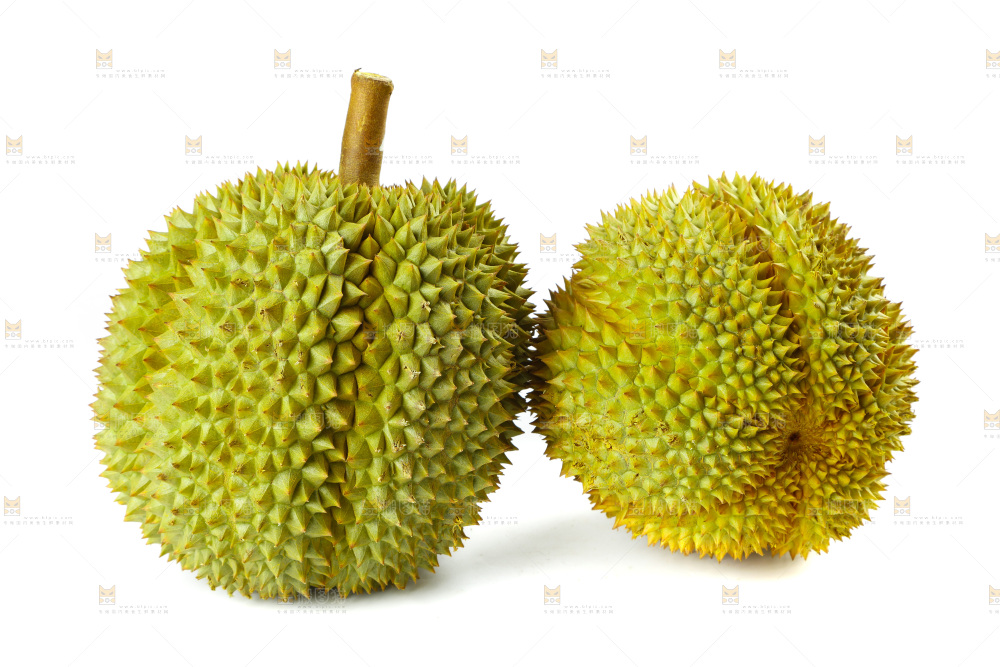 白底上的新鲜榴莲