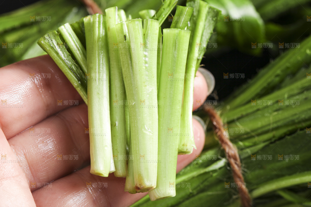 手拿切开的云南大香菜