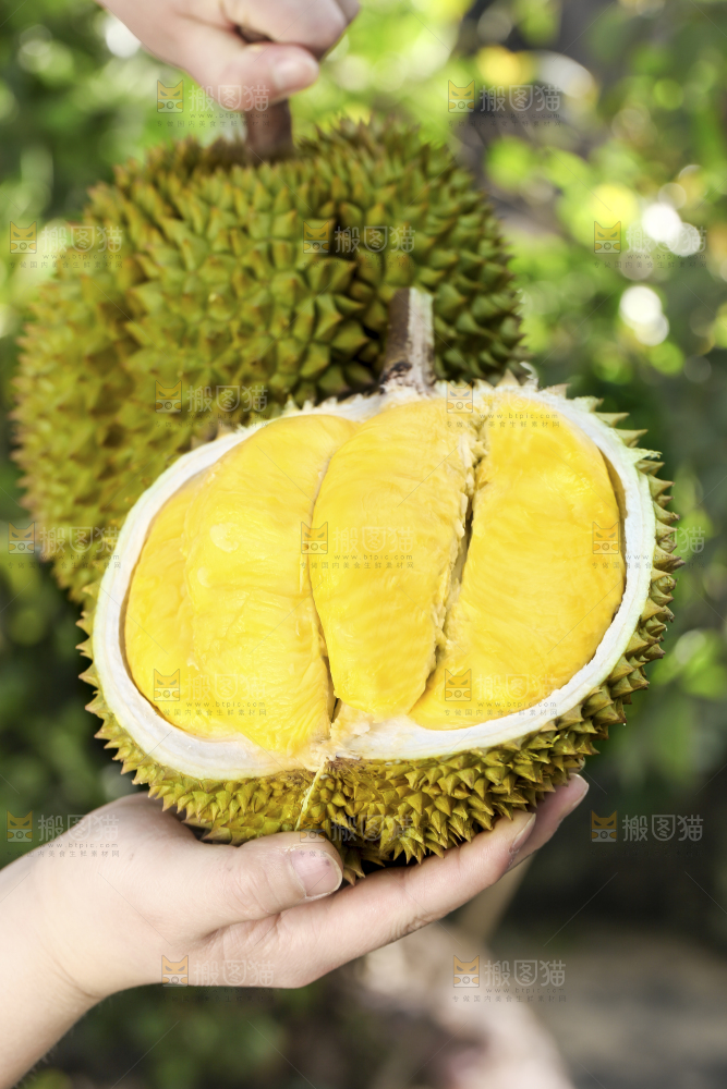 手里拿着新鲜榴莲