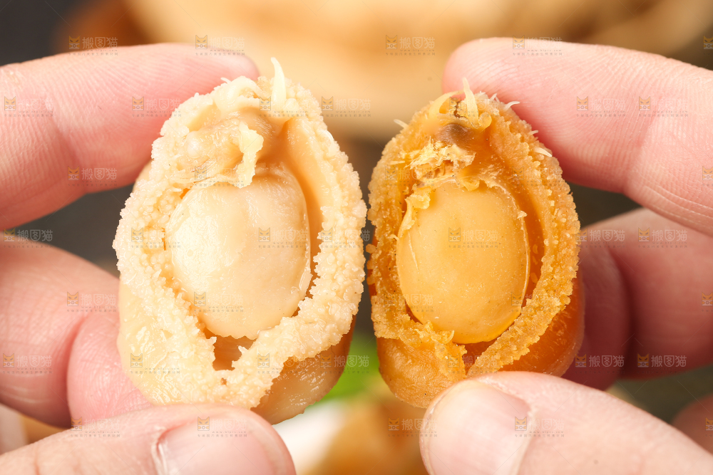 手拿干鲍鱼