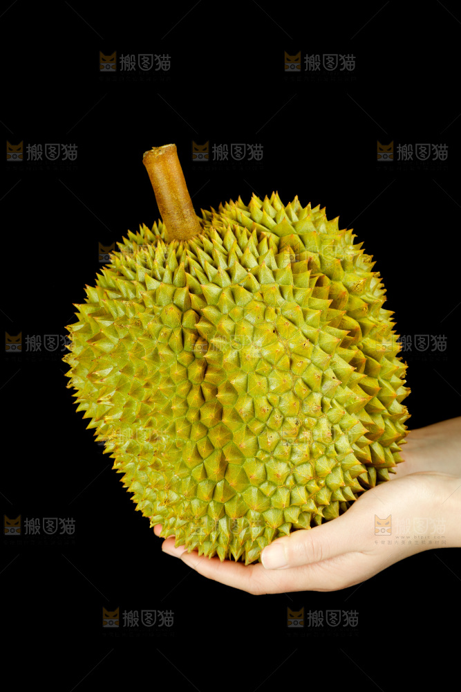 手里拿着进口甲仑榴莲