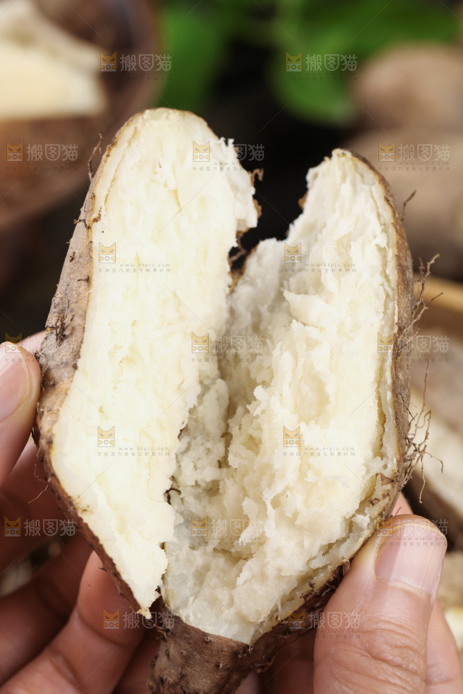 手拿掰开的熟毛薯
