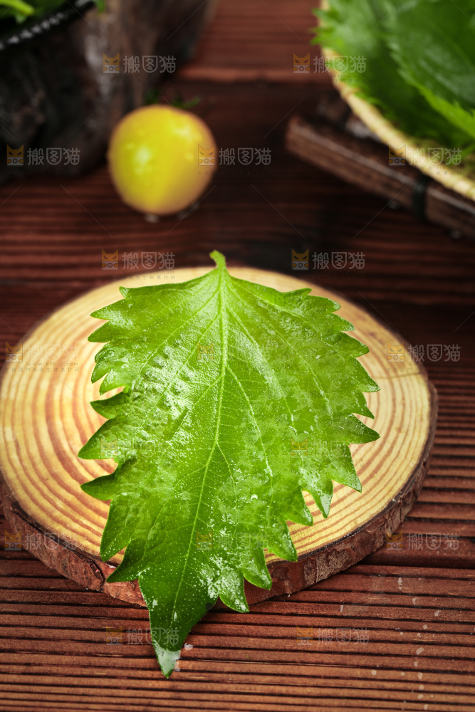 木板上的青紫苏叶