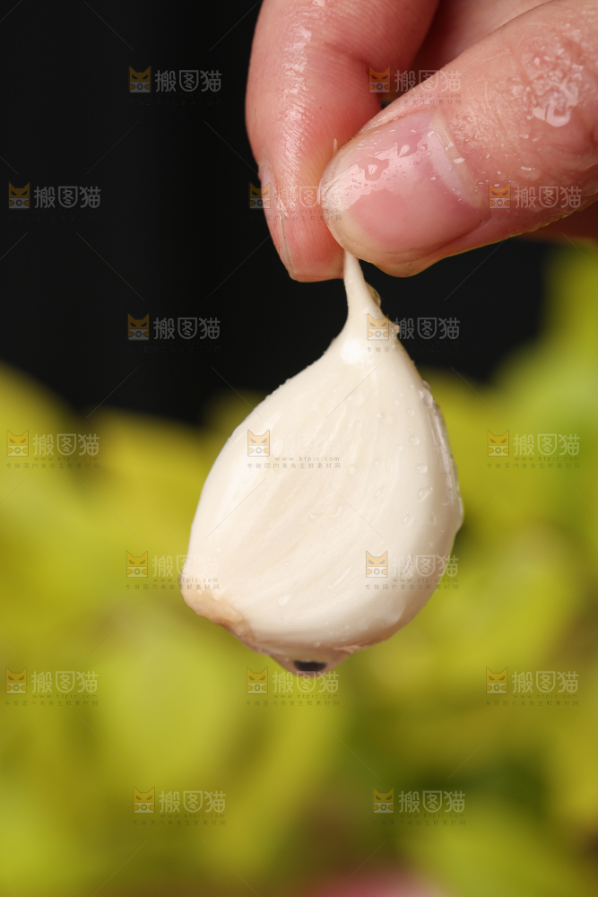 手里拿着紫皮多瓣蒜