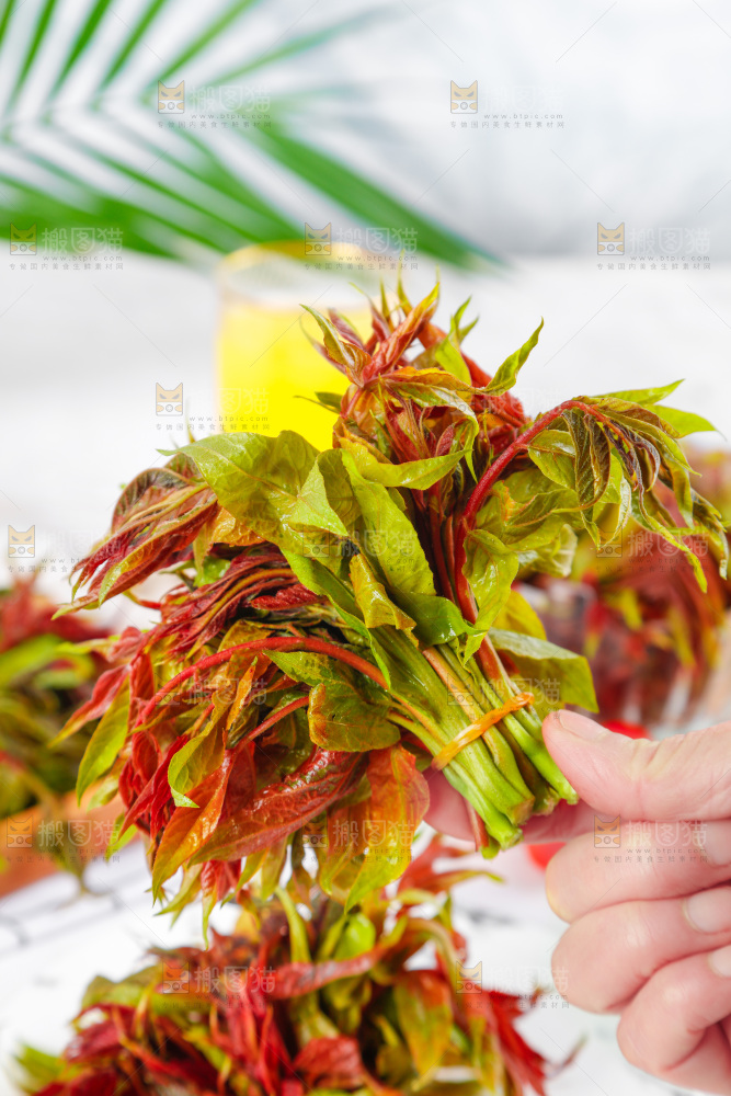 手拿香椿芽