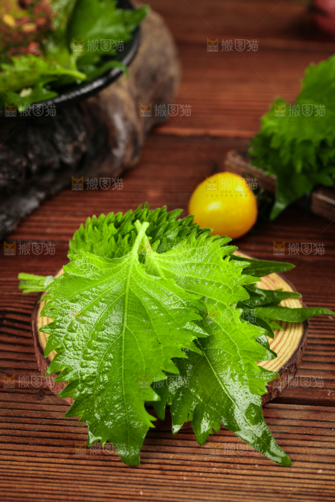 木底上的新鲜紫苏叶