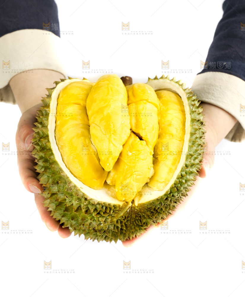 白底上摆放着甲仑榴莲