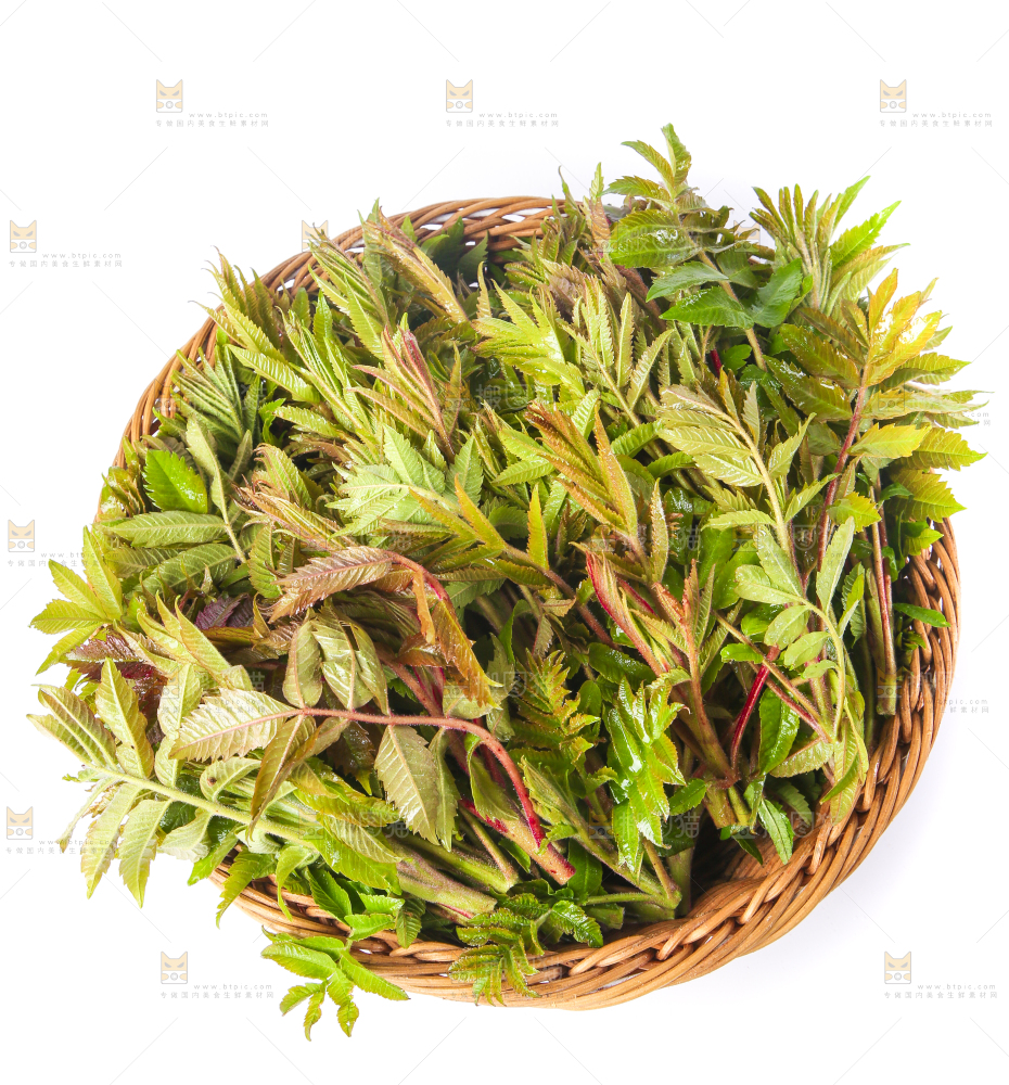 浅底上放着沂蒙山香椿芽