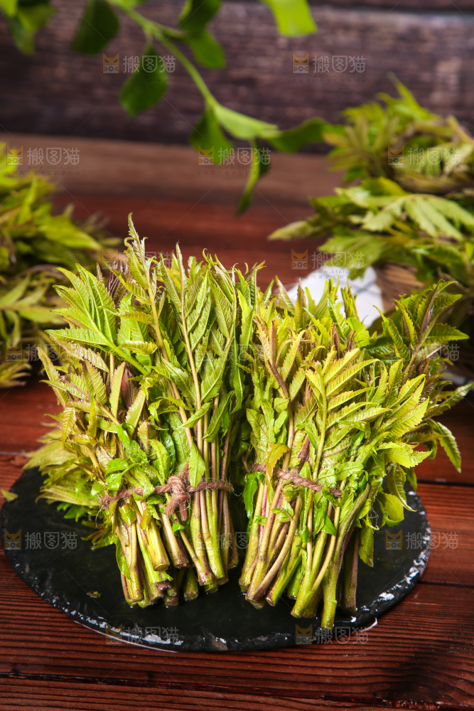 黑石板放着新鲜红香椿