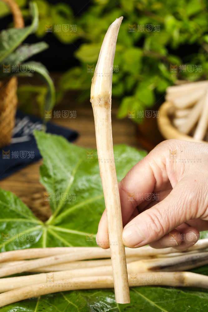 手里拿着新鲜藕带