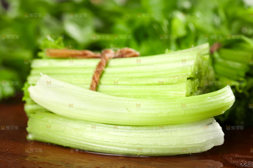 深底上的青岛新鲜芹菜