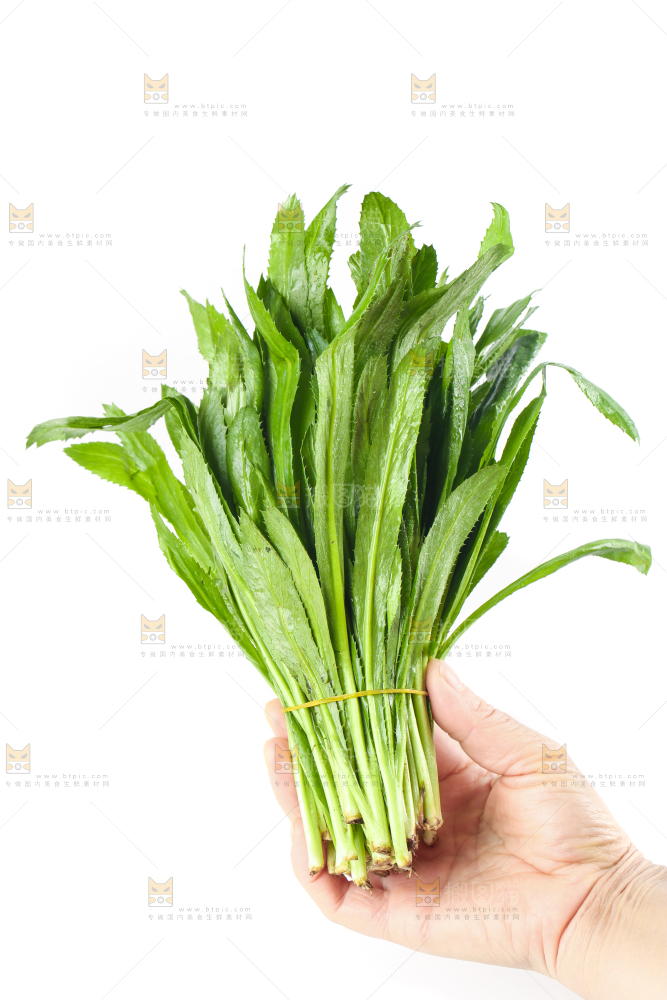 手拿一捆云南大香菜