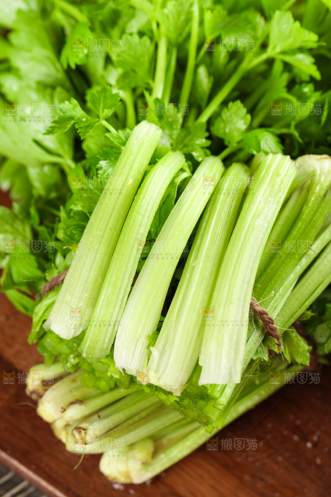 深底上的青岛新鲜芹菜