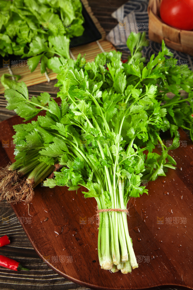 手拿新鲜芹菜