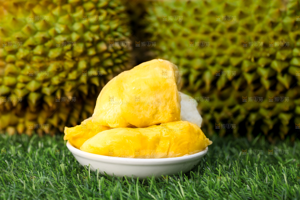 草地上的泰国甲仑榴莲