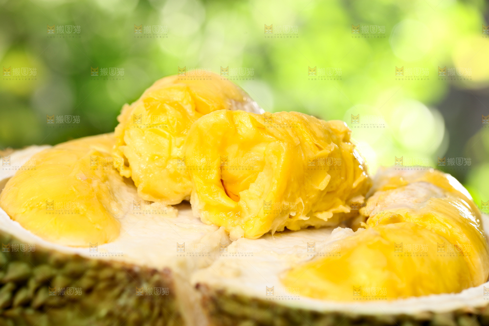 草地上摆放着甲仑榴莲