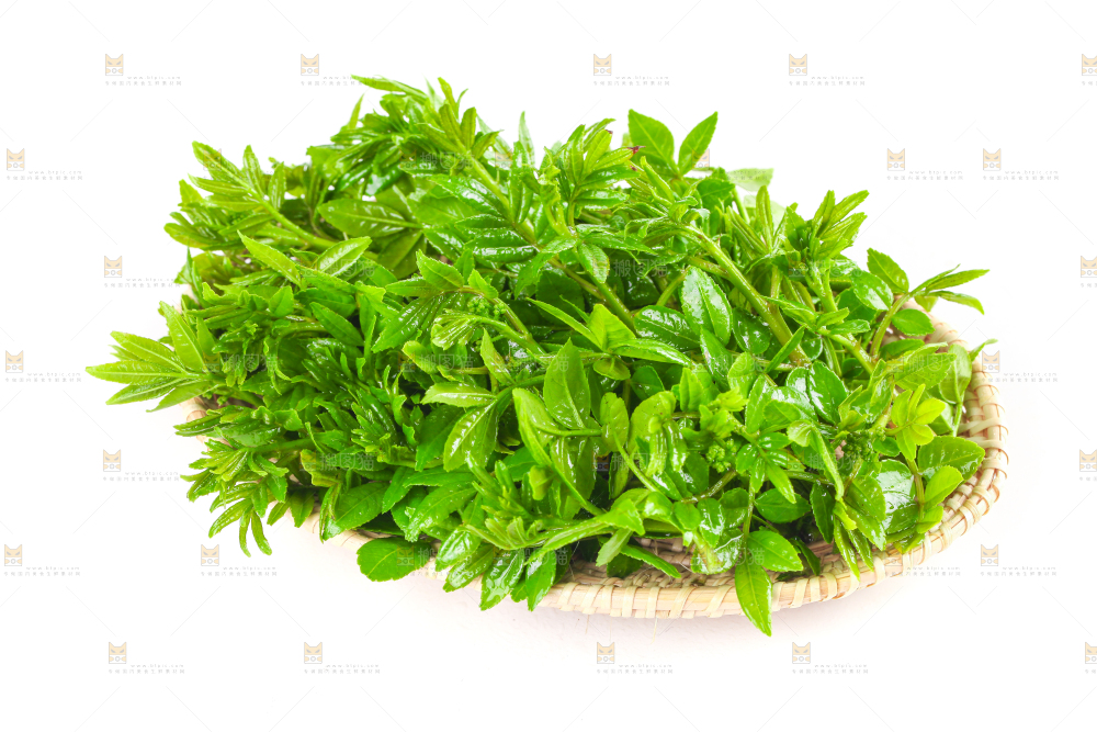 一盘花椒芽苗放在白底上