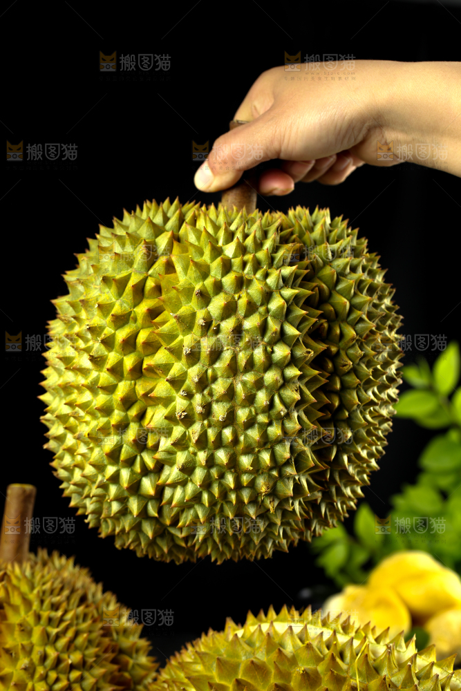 手里拿着新鲜榴莲