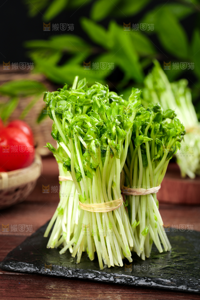 黑石板上的豌豆芽苗菜