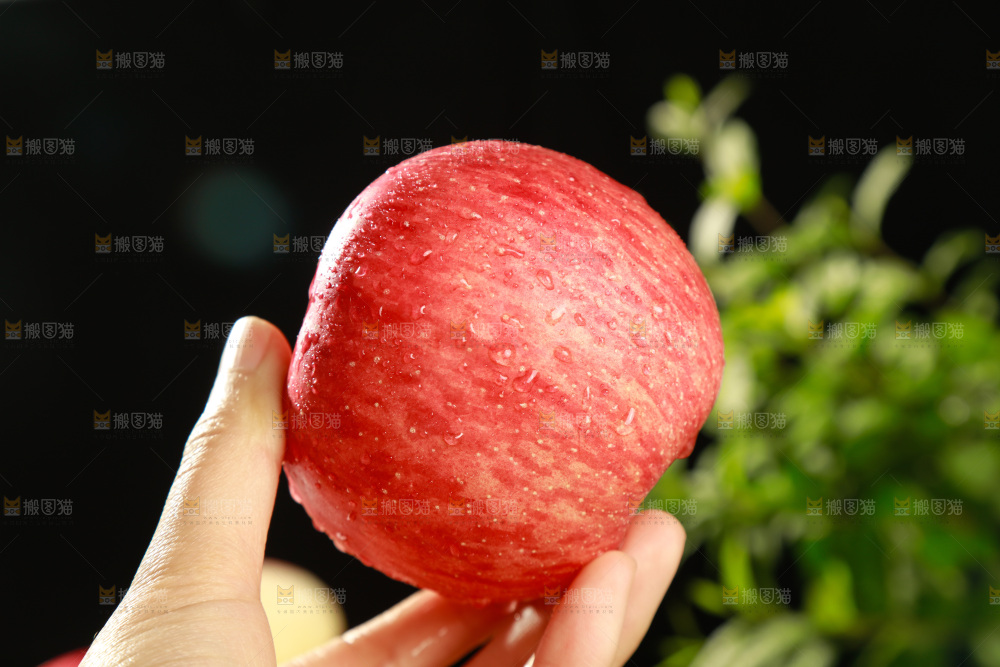 深底上的陕西秦冠苹果