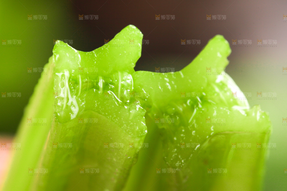 深底上的新鲜小香芹