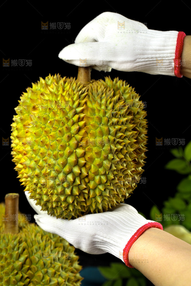 盘子里装着泰国甲仑榴莲