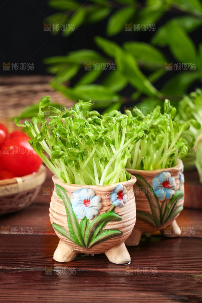 木板上放着豌豆芽