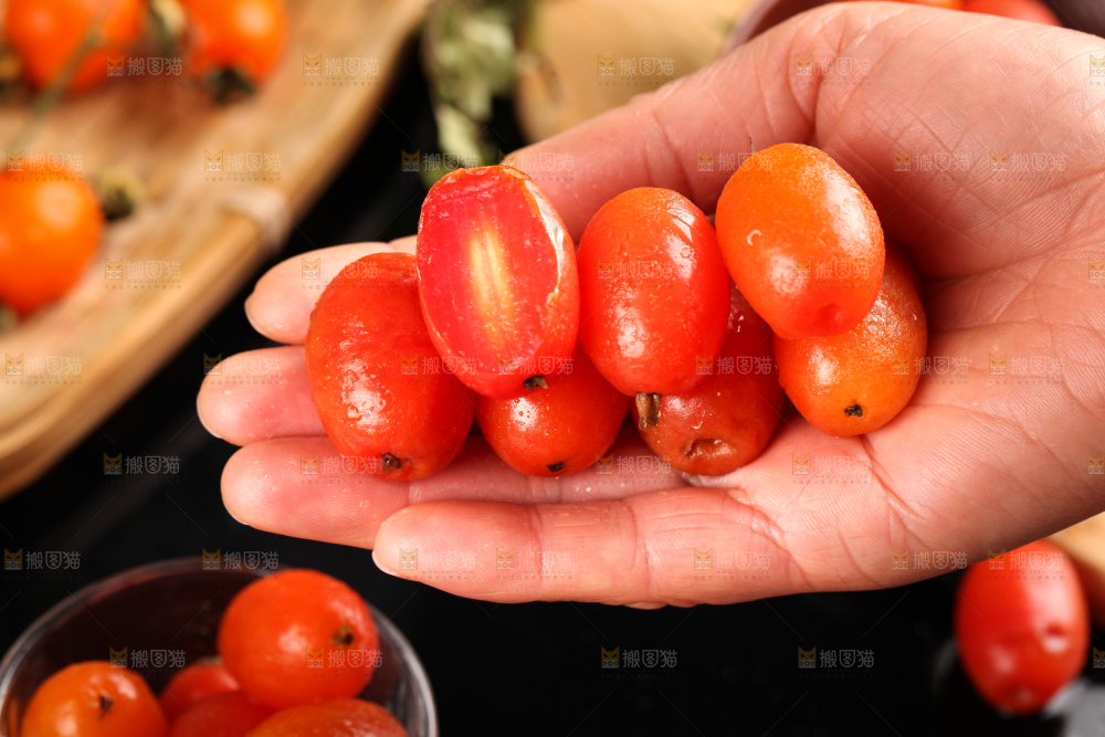手拿新鲜羊奶果